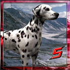 303 Dalmatian SIMULATOR 3D আইকন