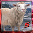 3D СВИТ SHEEP