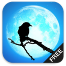 The Crow Rock Metal Radio Free APK