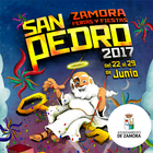 San Pedro 2017 icône