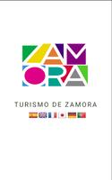 Turismo Zamora. Affiche