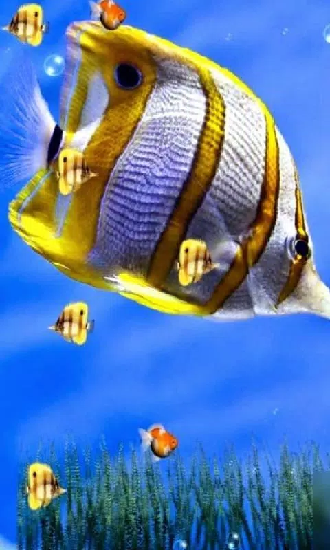 Fish Wallpaper 3D Aquarium New Background HD 2019 APK for Android Download Fish Wallpaper 3D Aquarium New Background HD 2019 APK for Android Download