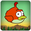 Clumsy Bird
