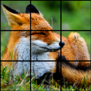 Wildlife Puzzles APK