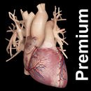 Cardiological Premium APK