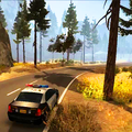 Police Sim 2017