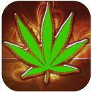 Weed Wallpaper HD APK