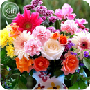 Flowers Gif Collection APK