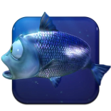 Furious Fish Live Wallpaper