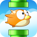 Crazy Bird