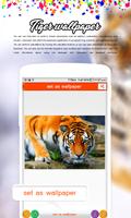 Tiger Wallpaper Ekran Görüntüsü 2