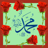 APK The life of Hz.Muhammad (pbuh)
