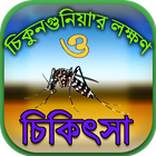 চিকুনগুনিয়া জ্বরের লক্ষণ চিকিৎসা icône