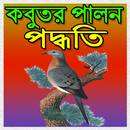 কবুতর পালন পদ্ধতি APK