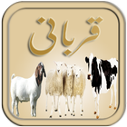 Qurbani - Eid ul Azha icône