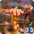 Ninja Kung Fu Fighting 3D