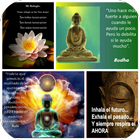 Buda Images-icoon