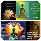 Buda Wallpapers icono