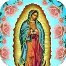 En Vivo Virgen de Guadalupe APK