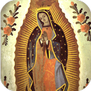 La Virgen Guadalupe Milagrosa APK