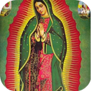 Flor 4 Virgen Guadalupe APK