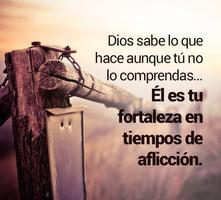 Frases de Dios Positivas ảnh chụp màn hình 1