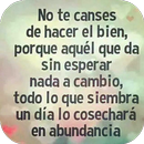 Frases de Dios que Impactan APK