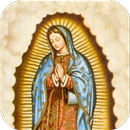 Historia Virgen de Guadalupe APK