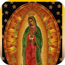 Fotos Virgen Guadalupe Animada APK