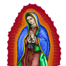 La Virgen de Guadalupe 7 APK