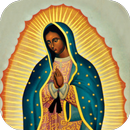La Virgen de Guadalupe Novela APK