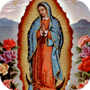 La Virgen Guadalupe Historia APK