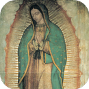 Aparicion Virgen de Guadalupe APK