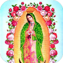 4 apariciones Virgen Guadalupe APK