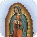 Misterios Virgen de Guadalupe APK