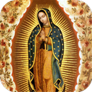 Novena a Virgen de Guadalupe APK