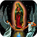 Nuestra Virgen de Guadalupe APK