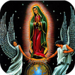 Nuestra Virgen de Guadalupe