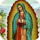 Poema a Virgen de Guadalupe APK