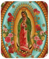 Parroquia Virgen de Guadalupe imagem de tela 1