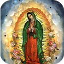 Que Hizo la Virgen Guadalupe APK