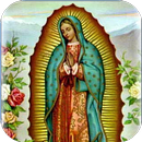 Que Oculta la Virgen Guadalupe APK