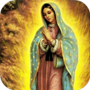 Rosario a Virgen de Guadalupe APK
