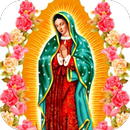 Virgen Guadalupe 10 de Mayo APK
