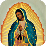 Virgen de Guadalupe 4k آئیکن