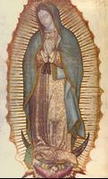 Virgen de Guadalupe 3d 截图 3