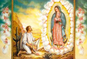 Virgen de Guadalupe 3d imagem de tela 1