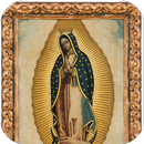 Virgen de Guadalupe te Bendiga APK