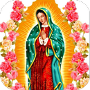 Virgen de Guadalupe a Color APK