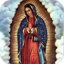 Virgen de Guadalupe Antigua APK